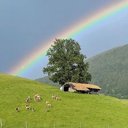 Villa Traumhaus Sensationeller Lage Traumhafter Bergblick Absolute Ruhe